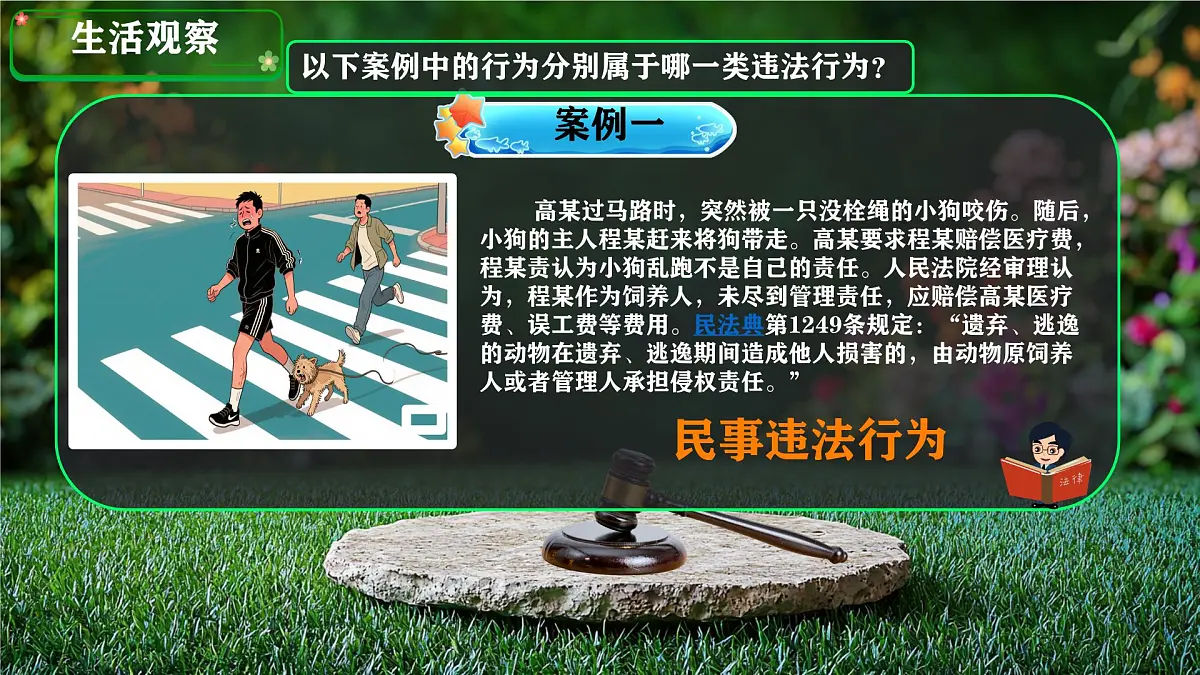 初中 政治 (道德与法治) 人教版（2024）七年级下册4.11.1法不可违 课件第8页