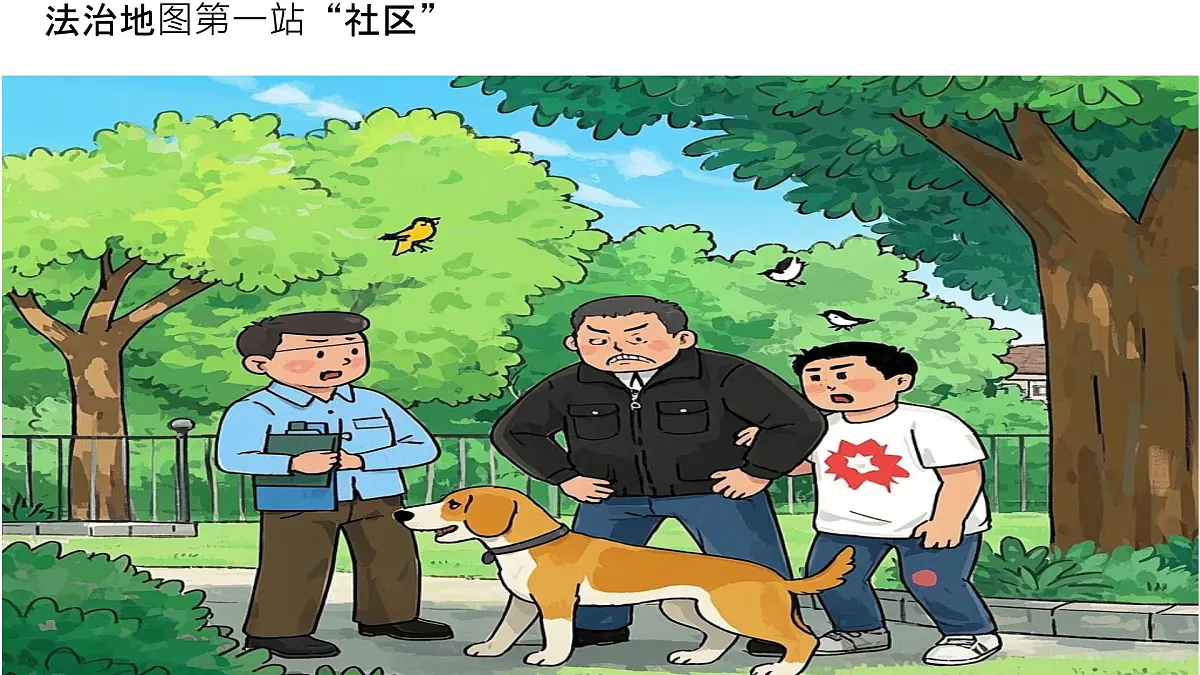 初中 政治 (道德与法治) 人教版（2024）七年级下册4.10.1认识民法典 课件第7页