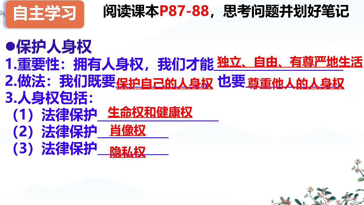 初中 政治 (道德与法治) 人教版（2024）七年级下册4.10.2保护人身权 课件第4页