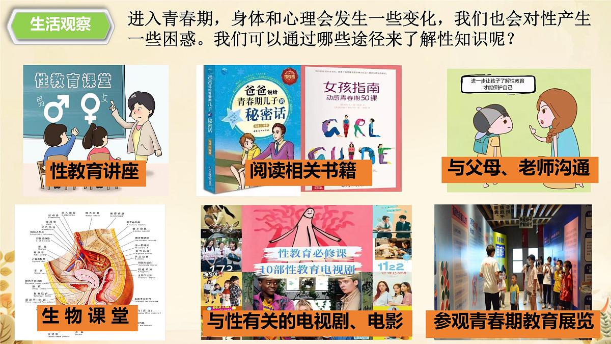 初中 政治 (道德与法治) 人教版（2024）七年级下册1.1.3学会自我保护 课件第6页