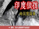 人教版（2024）道德與法治八年級(jí)上冊(cè) 2.1 人的社會(huì)化（課件）