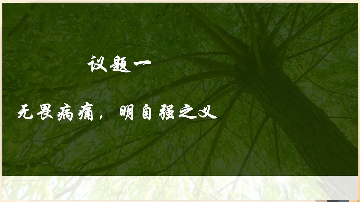 初中 政治 (道德与法治) 人教版（2024）七年级下册2.5.1人要自强 课件第4页