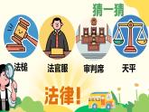 9.1 日益完善的法律體系2024-2025學(xué)年統(tǒng)編版道德與法治七年級(jí)下冊(cè)課件