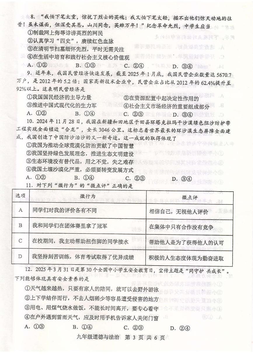 2025年河南省平顶山市中考二模道德与法治试题（中考模拟）第3页