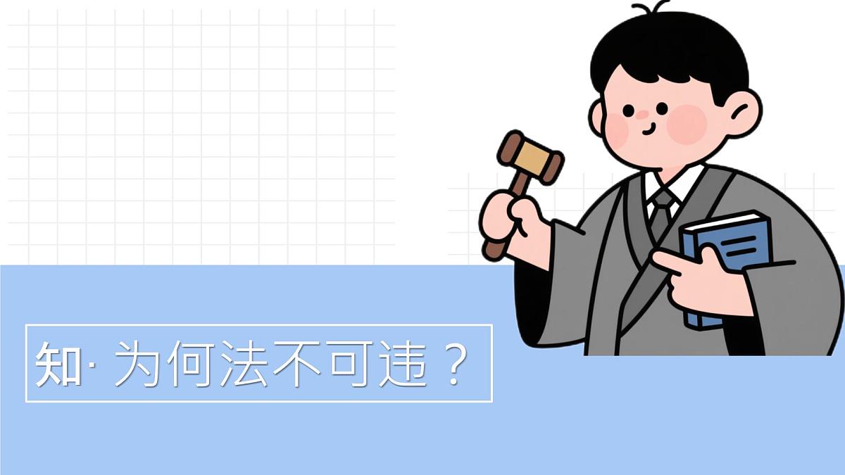 初中 政治 (道德与法治) 人教版（2024）七年级下册4.11.1 法不可违 课件第5页