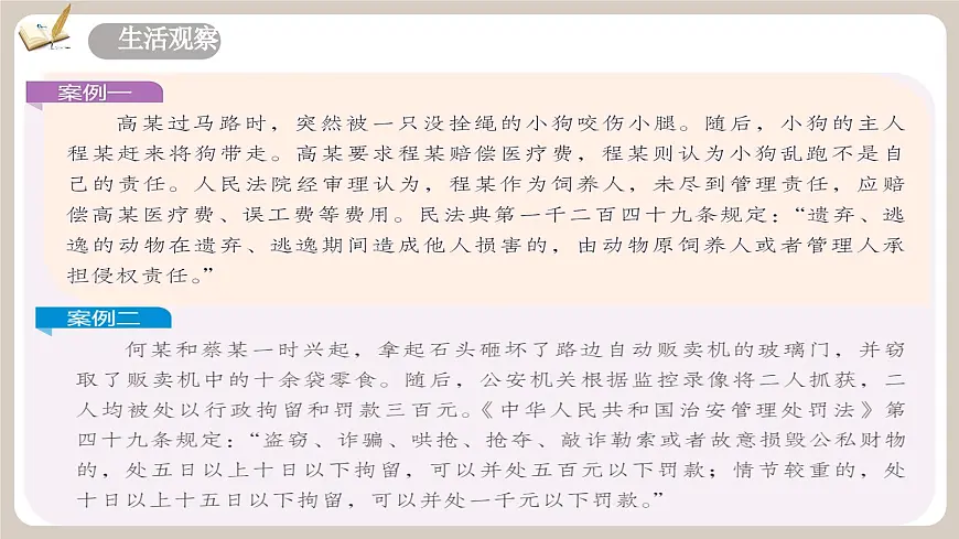 11.1《法不可违》2025年春新版教材七年级下册道德与法治课件第6页