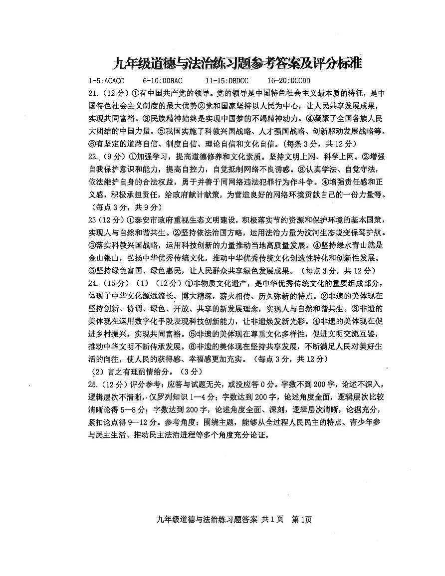 2025泰安市岱岳区九年级三模政治试题 答案第1页