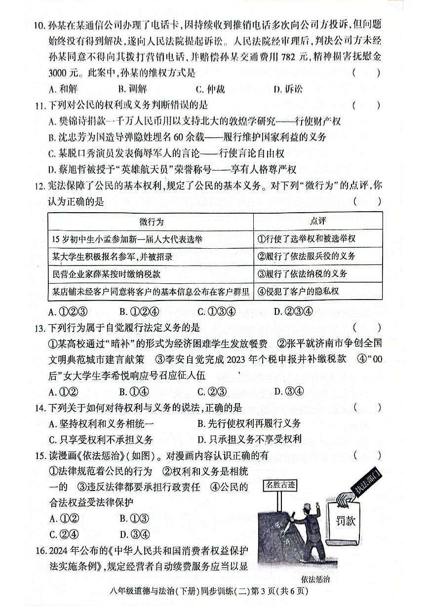 广东省惠州市惠阳区2024-2025学年八年级下学期5月月考道德与法治试题第3页