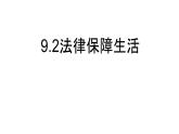 初中政治 (道德與法治)人教版（2024）七年級下冊4.9.2法律保障生活 課件