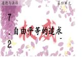 初中政治 (道德與法治)人教版（2024）八年級(jí)下冊(cè)4.7.2 自由平等的追求 課件