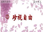 初中政治 (道德與法治)人教版（2024）八年級(jí)下冊(cè)4.7.2 自由平等的追求 課件