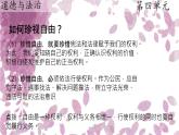 初中政治 (道德與法治)人教版（2024）八年級(jí)下冊(cè)4.7.2 自由平等的追求 課件