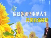 部編版2024道德與法治七年級下冊七下5.2 做自強(qiáng)不息的中國人 課件