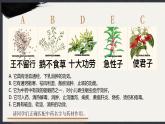 部編版2024道德與法治七年級(jí)下冊(cè)6.1《歷久彌新的思想理念》 課件