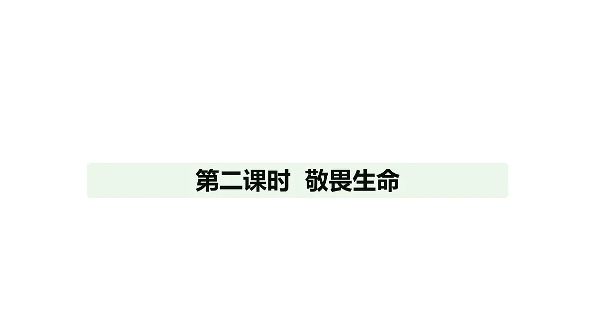人教版（2024）道德与法治七年级上册 8.2 敬畏生命（课件）第1页