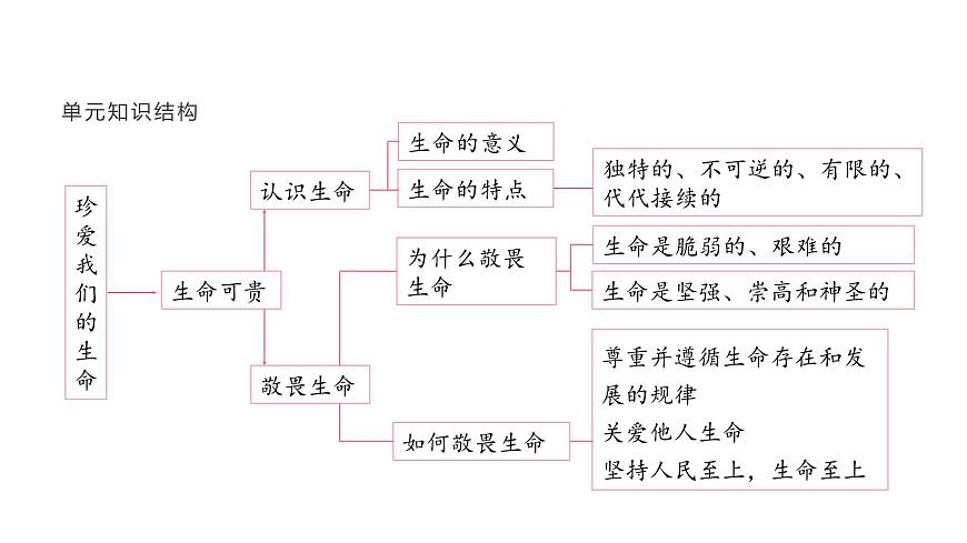 人教版（2024）道德与法治七年级上册 8.2 敬畏生命（课件）第4页
