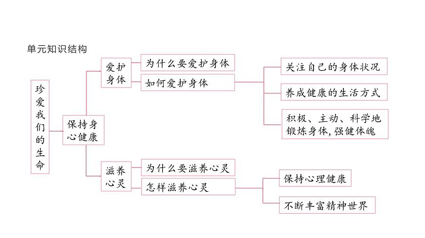 人教版（2024）道德与法治七年级上册 8.2 敬畏生命（课件）第6页