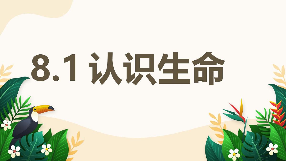 8.1 认识生命——初中道德与法治统编版（2024）七年级上册教学课件第1页