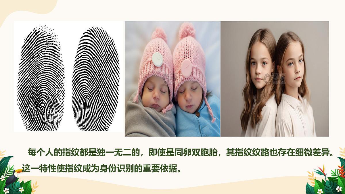 8.1 认识生命——初中道德与法治统编版（2024）七年级上册教学课件第5页