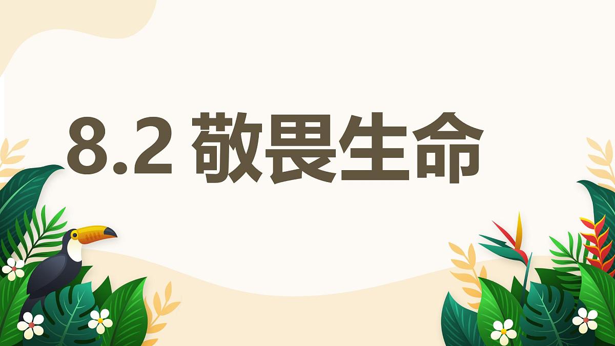 8.2 敬畏生命——初中道德与法治统编版（2024）七年级上册教学课件第1页