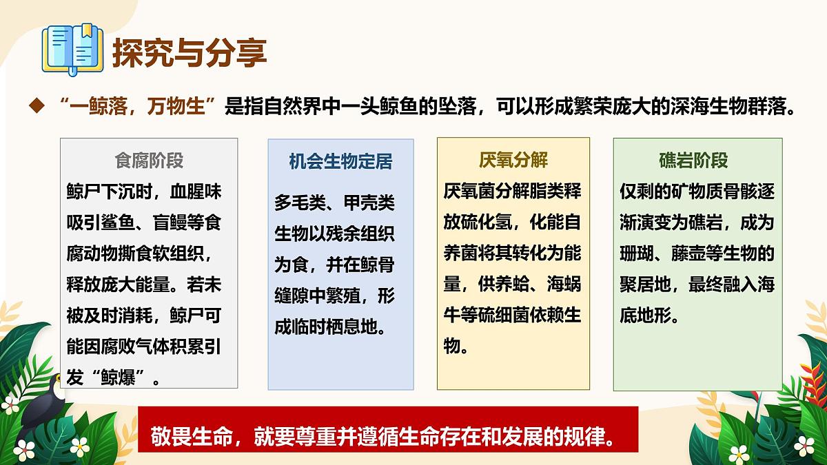 8.2 敬畏生命——初中道德与法治统编版（2024）七年级上册教学课件第7页