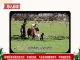 11.1 探問(wèn)人生目標(biāo)——初中道德與法治統(tǒng)編版（2024）七年級(jí)上冊(cè)教學(xué)課件