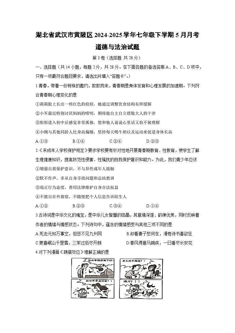 【道德与法治】湖北省武汉市黄陂区2024-2025学年七年级下学期5月月考试题第1页