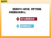 新統(tǒng)編版初中道法七上8.2敬畏生命（教學(xué)課件+教學(xué)設(shè)計(jì)+導(dǎo)學(xué)案+視頻素材）