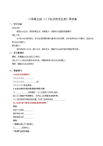 政治 (道德与法治)八年级上册（2024）认识社会生活精品学案及答案
