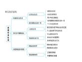人教版（2024）道德與法治八年級(jí)上冊(cè) 1.2 我們都是社會(huì)的一員（課件）