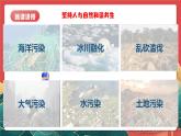 人教部編版政治九上 6.2《共筑生命家園》 課件+教案+素材