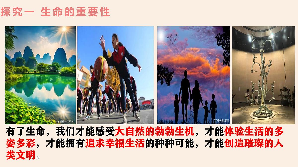 8.1 认识生命(课件） - 统编版道德与法治七年级上册第6页