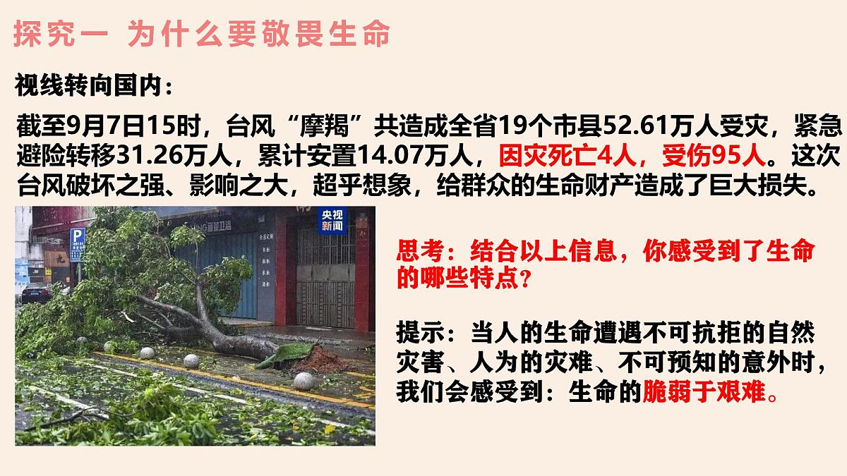 8.2敬畏生命（课件） 统编版道德与法治七年级上册第6页