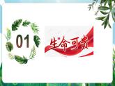 【核心素養(yǎng)】人教部編版道法七上 7.8.1《認(rèn)識(shí)生命》課件+教案+素材