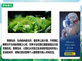 【核心素養(yǎng)】人教部編版道法七上 7.8.2《敬畏生命》課件+教案+素材
