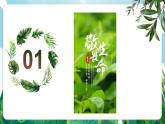 【核心素養(yǎng)】人教部編版道法七上 7.8.2《敬畏生命》課件+教案+素材