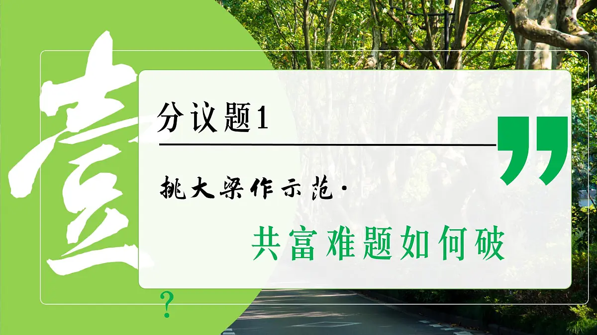 1.2走向共同富裕 课件 - 2025-2026学年统编版道德与法治九年级上册第5页