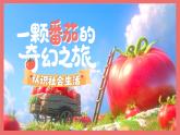 1.1《認(rèn)識社會生活》_ 課件  2025-2026學(xué)年統(tǒng)編版道德與法治八年級上冊