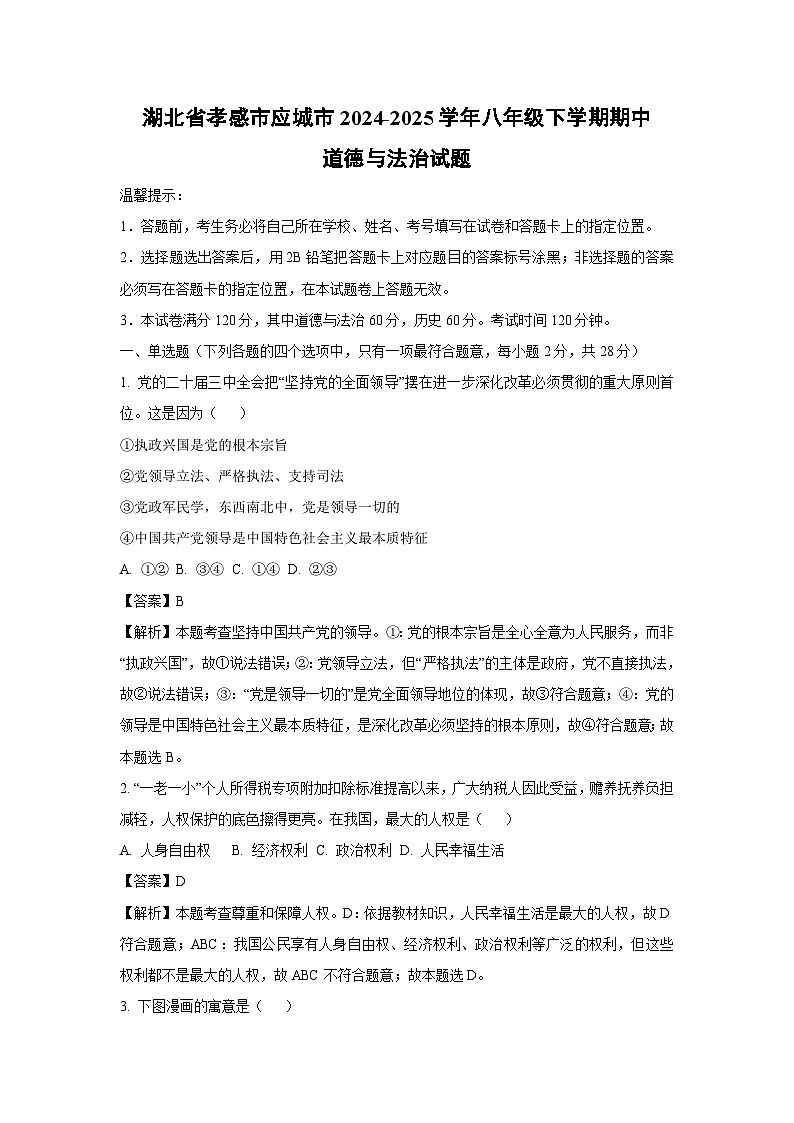 湖北省孝感市应城市2024-2025学年八年级下学期期中道德与法治试题（解析版）第1页