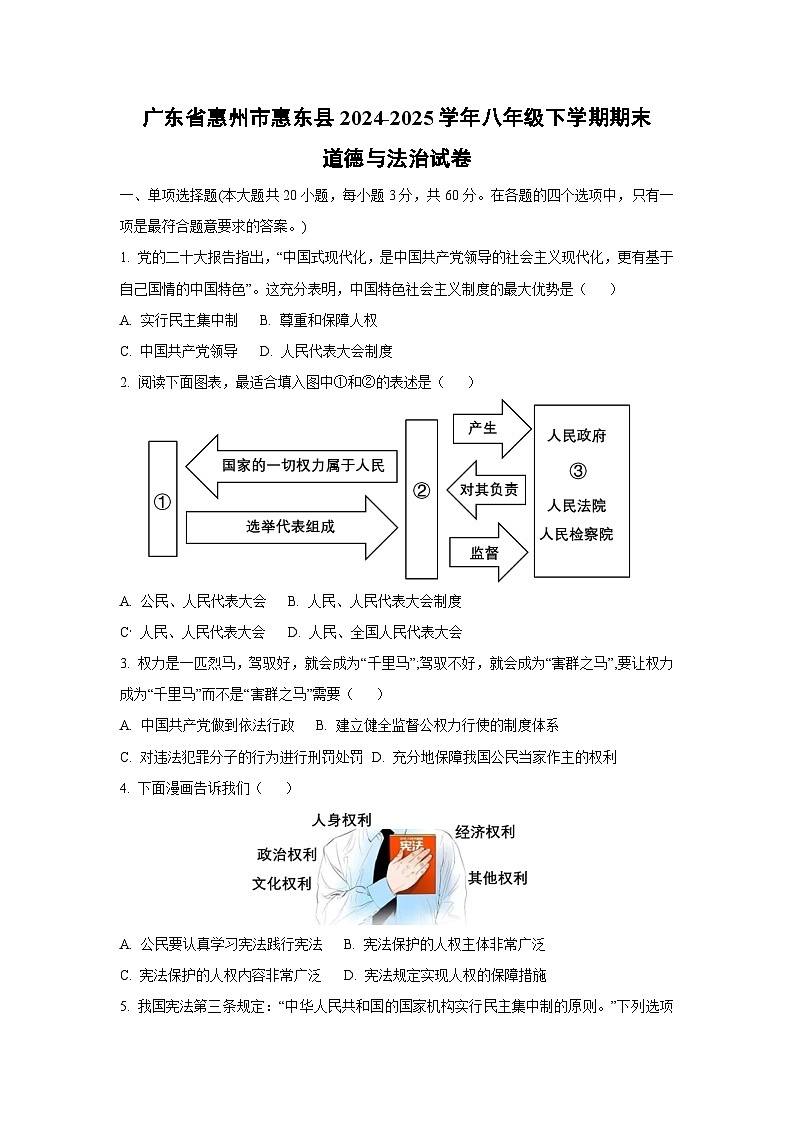 广东省惠州市惠东县2024-2025学年八年级下学期期末道德与法治试卷（学生版）第1页