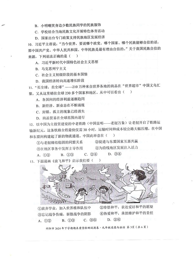 湖南省永州市祁阳市2024-2025学年九年级上学期期末质量检测道德与法治试卷第3页