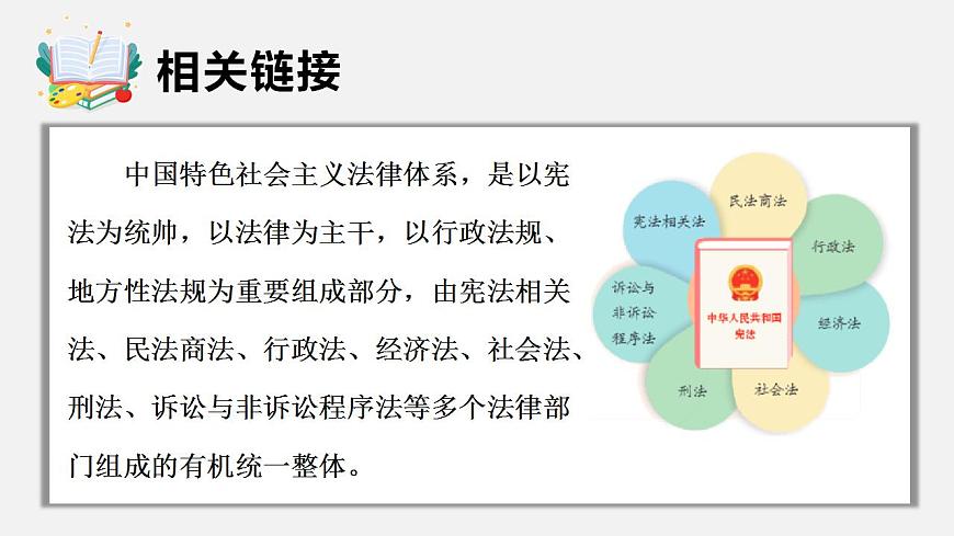 17843265第8页