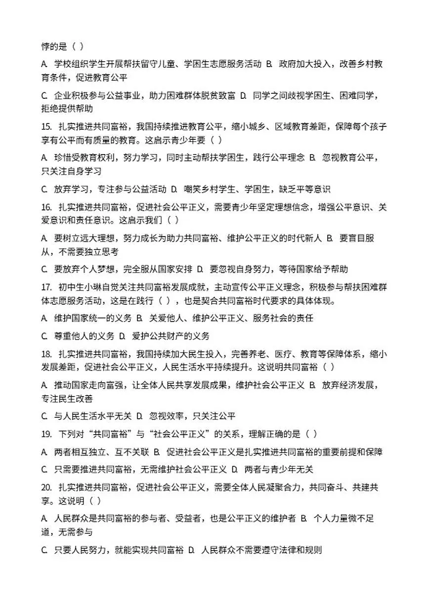 2026年中考道德与法治热点专题训练：扎实推进共同富裕，促进社会公平正义专项卷（含答案）第3页