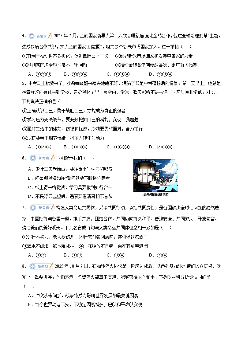 2026年中考一轮复习道德与法治九年级下册综合练（原卷版）无答案第2页