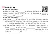 3.1《 维护秩序 》课件
