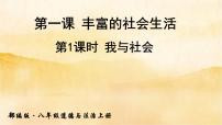 政治思品八年级上册（道德与法治）第一单元 走进社会生活第一课 丰富的社会生活我与社会说课课件ppt