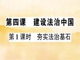 4.1《夯实法治基石》作业课件