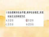 4.1《夯实法治基石》作业课件