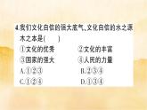 5.1《延续文化血脉》作业课件