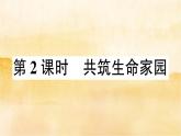 6.2《共筑生命家园》作业课件